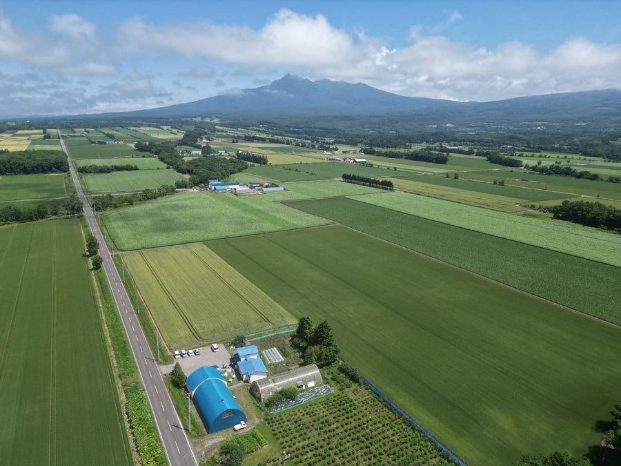 このオホーツクの地だから、育つベリーがあります。